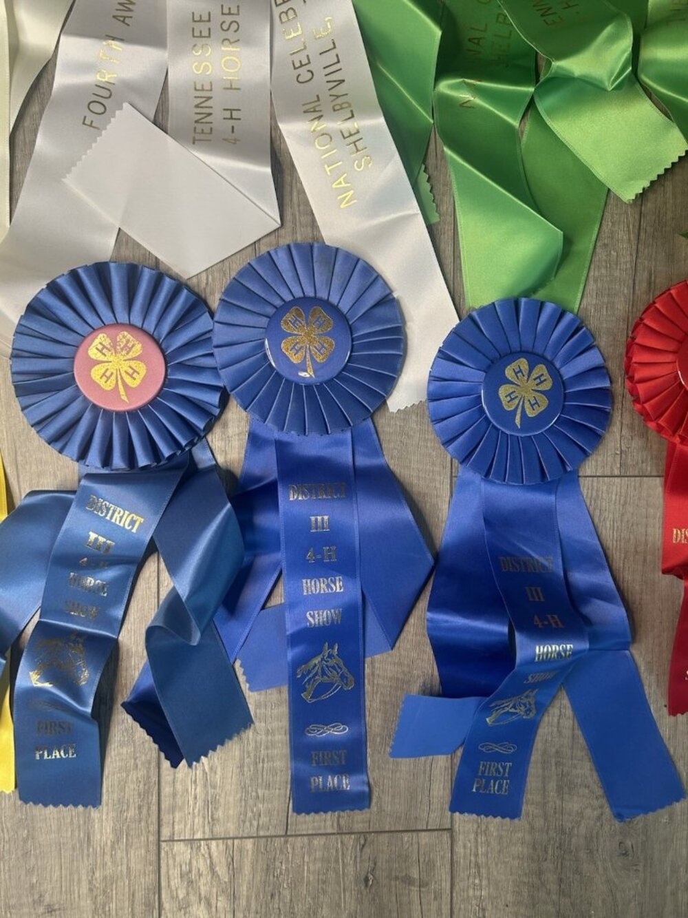 Show Ribbons 4-H Club Rosettes Craft Equestrian Tennessee Shelbyville Lot Of 19 - Picture 9 of 16